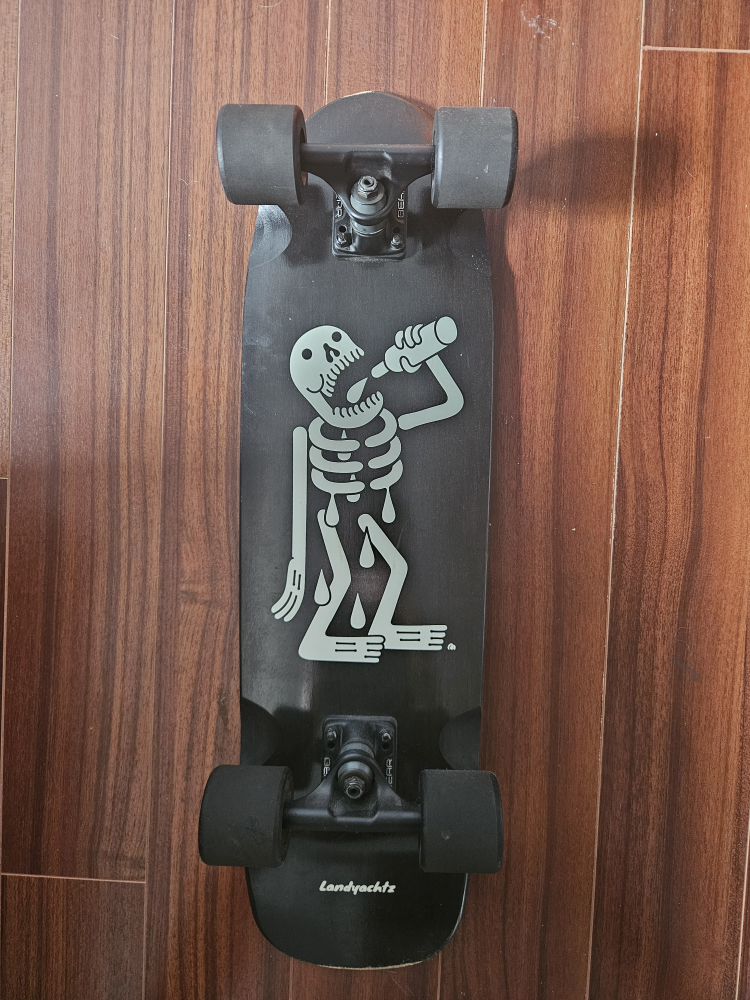 skateboard land yachtz - photo 3