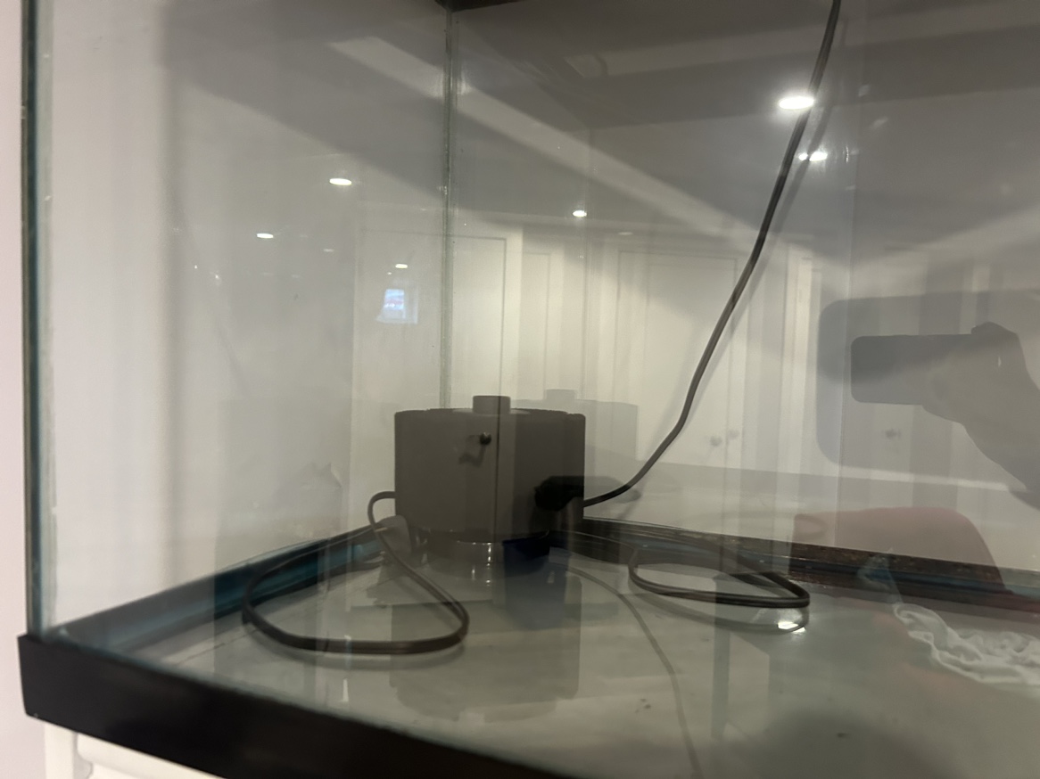 20 Gal Fish Tank With Sponge Filter image indicator(5)