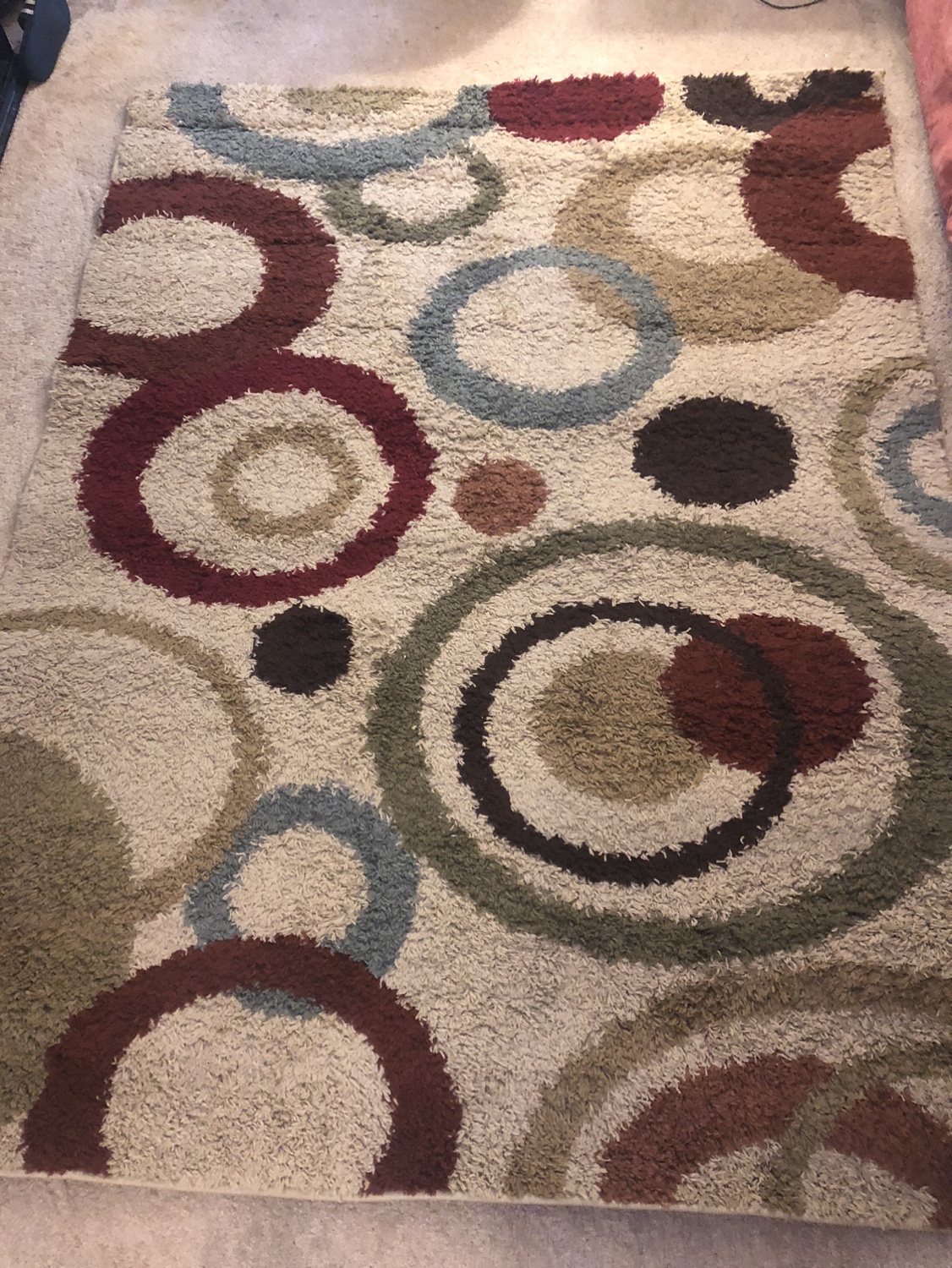 5x7 Shag Area Rug