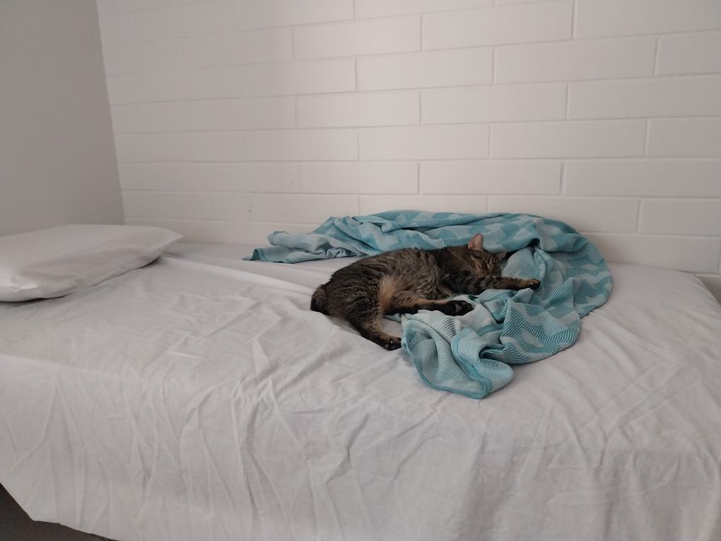 Single bed thumbnail