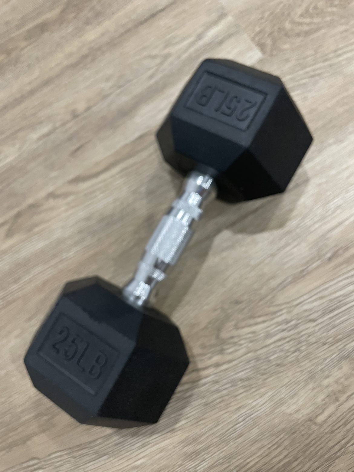 25lb Dumbbell thumbnail