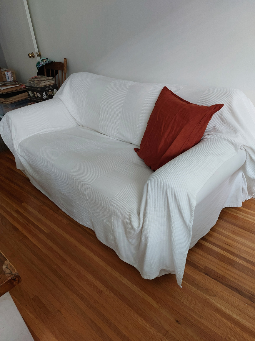 Small Couch - photo 2