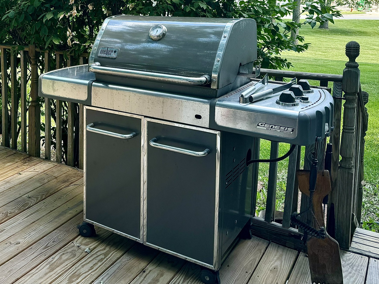 Weber Genesis Special Edition - photo 2