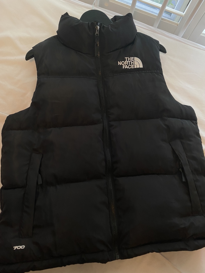 The north face puffer vest thumbnail
