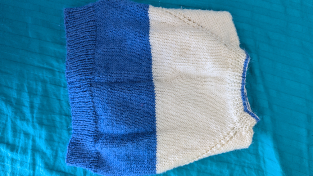 Baby / Infant Sweater Onesie and a sweater thumbnail