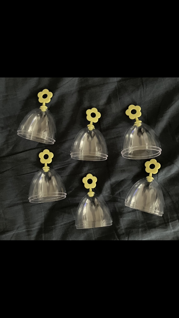 Set Of 6 Makeup Sponge Holder Cover Caps #freecycle 🌼 image indicator(2)