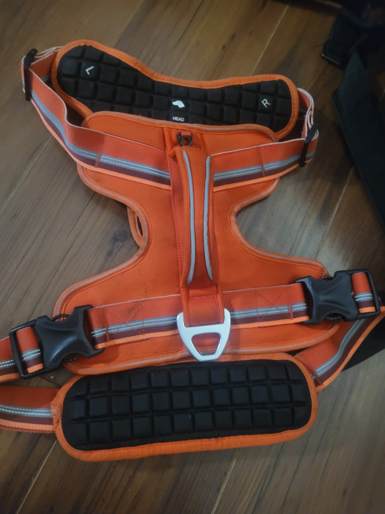 assorted Dog Harness and Leashes - photo 2