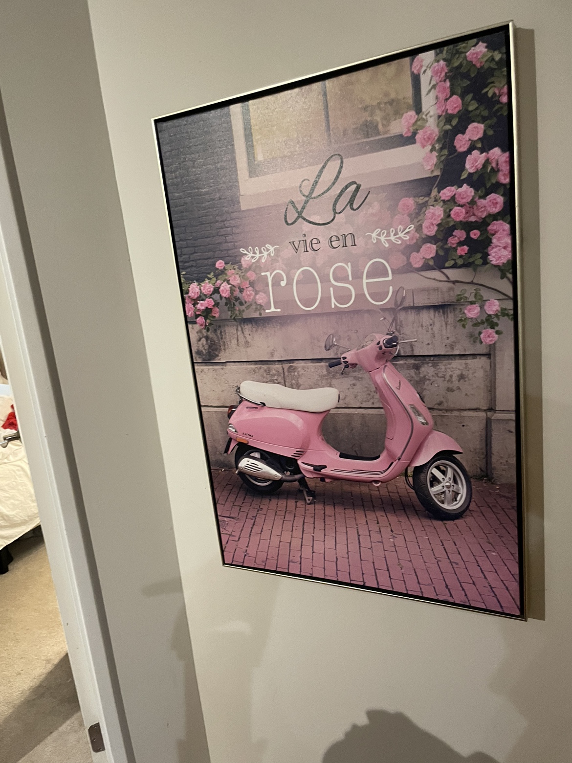 La Vie en Rose Framed Canvas Print