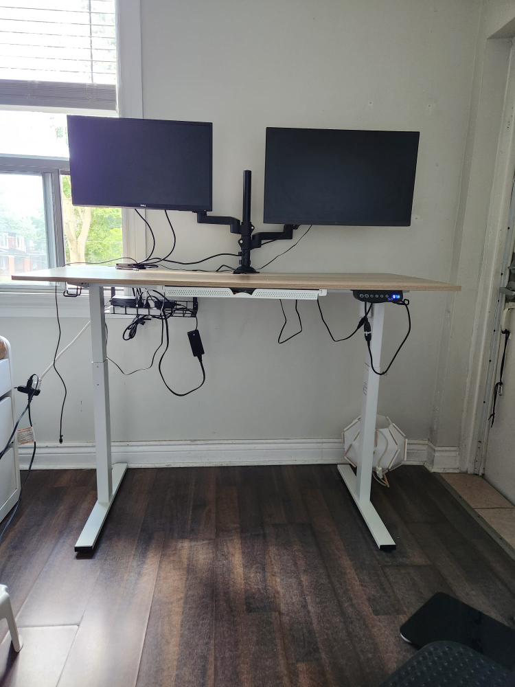 Electric Standing Desk and single LG Monitor with monitor stand - photo 2