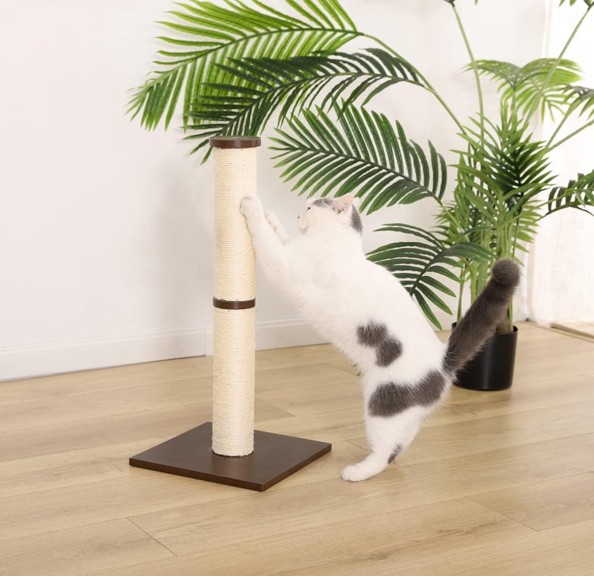 Cat Scratching Post
