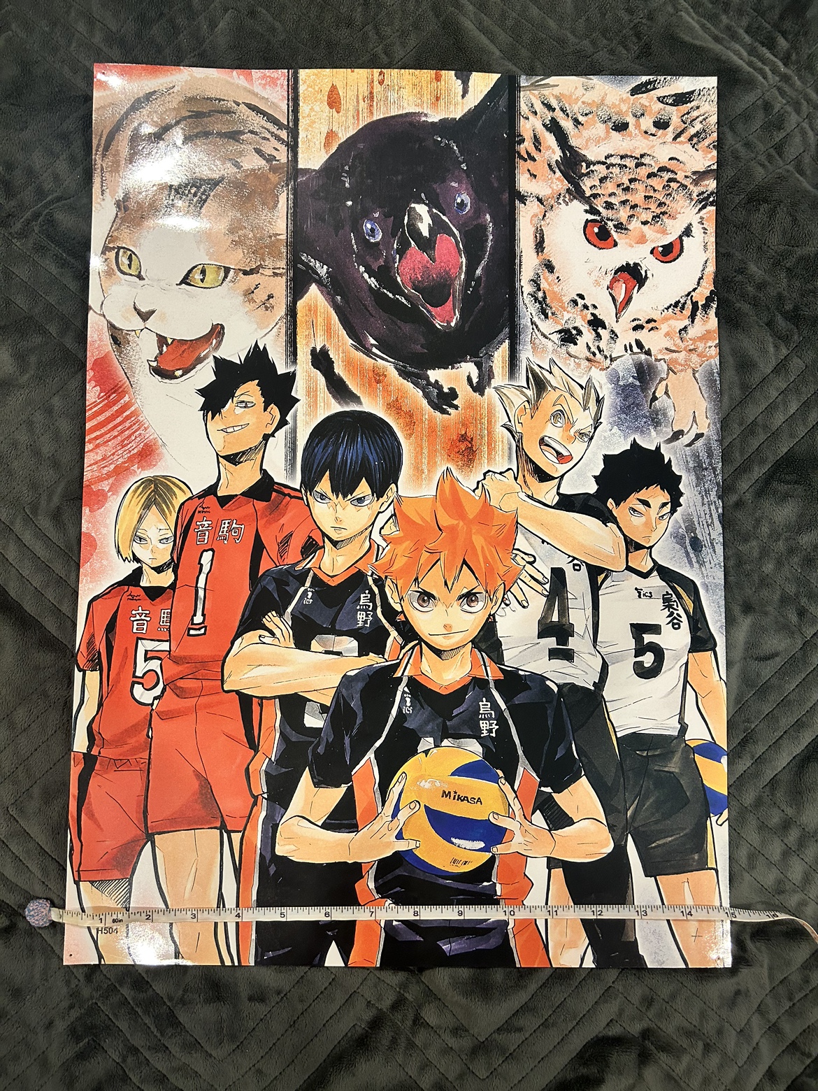 Anime Haikyuu! Volleyball Poster