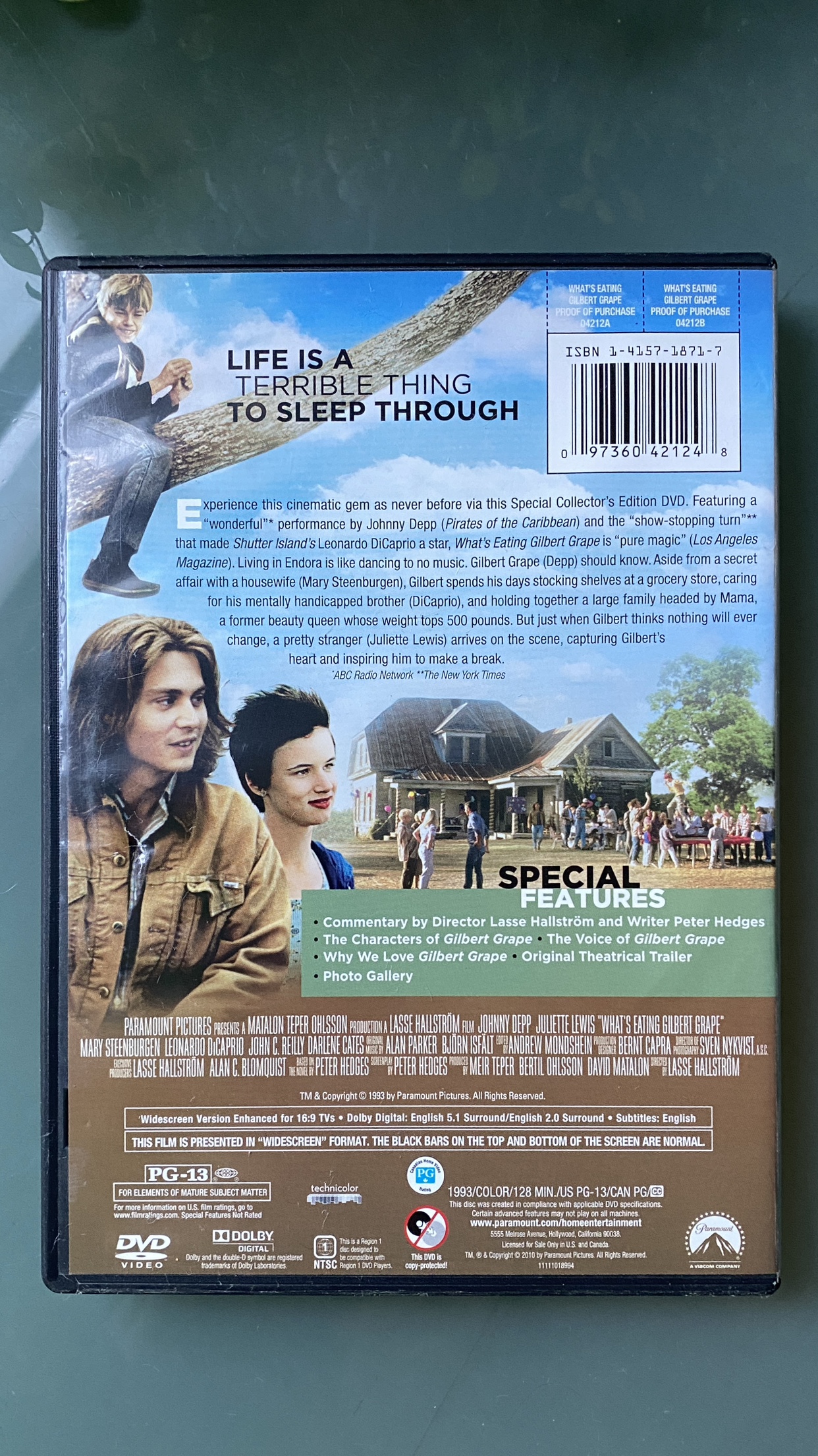 DVD: What’s Eating Gilbert Grape - photo 2