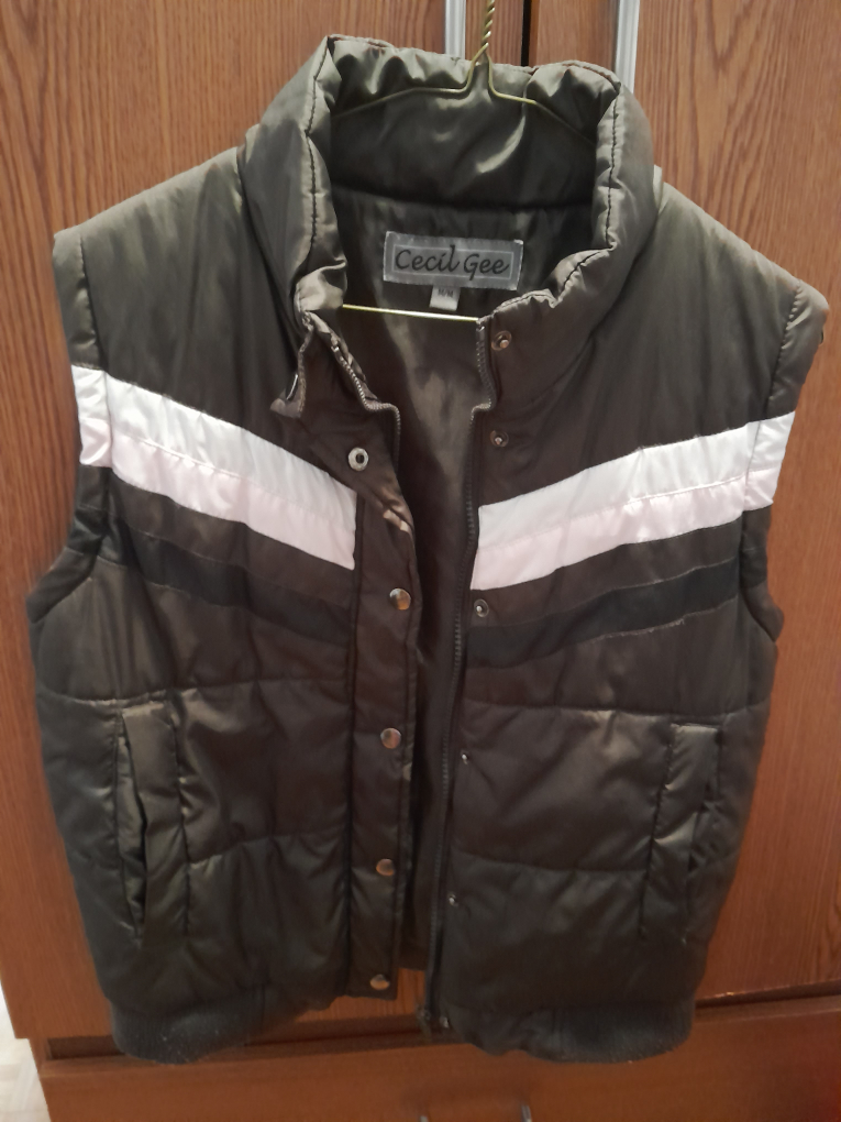Cecil Gee Puffer Vest image indicator(3)