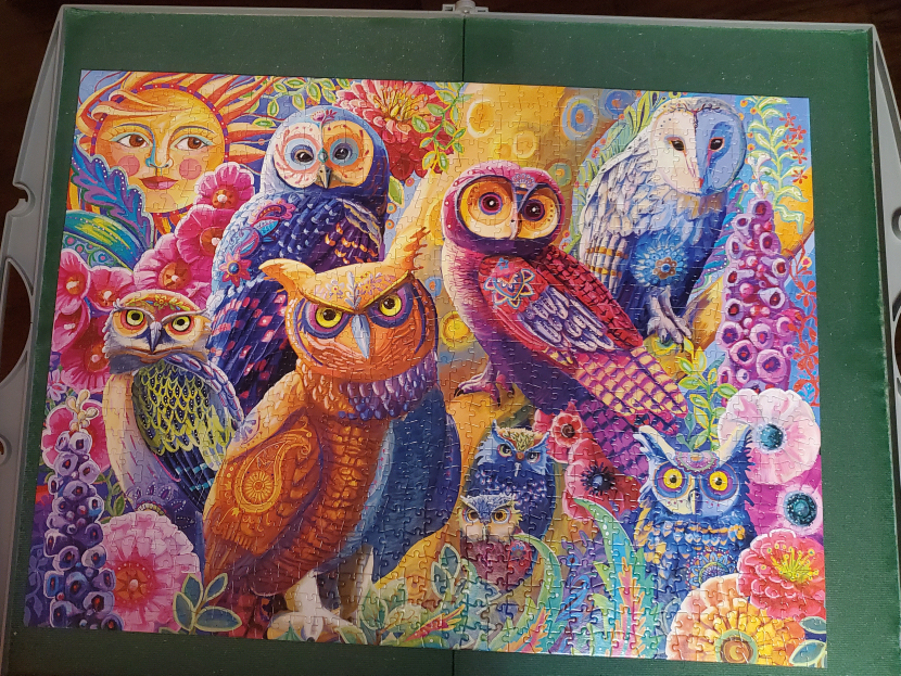 OWL AUTONOMY PUZZLE image indicator(2)