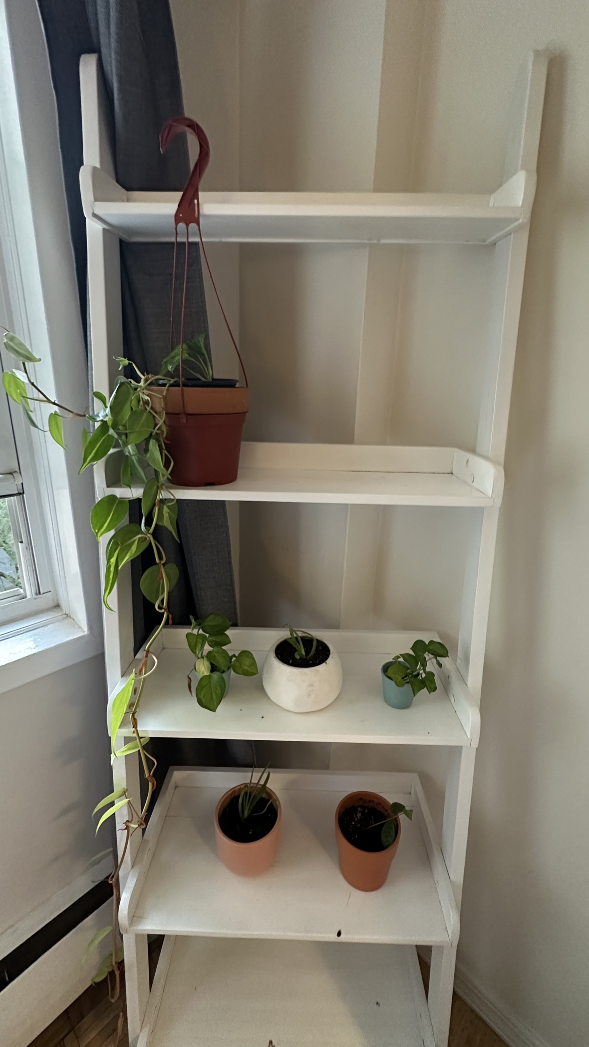 Plants and Pots with White Ladder Shelf - photo 2