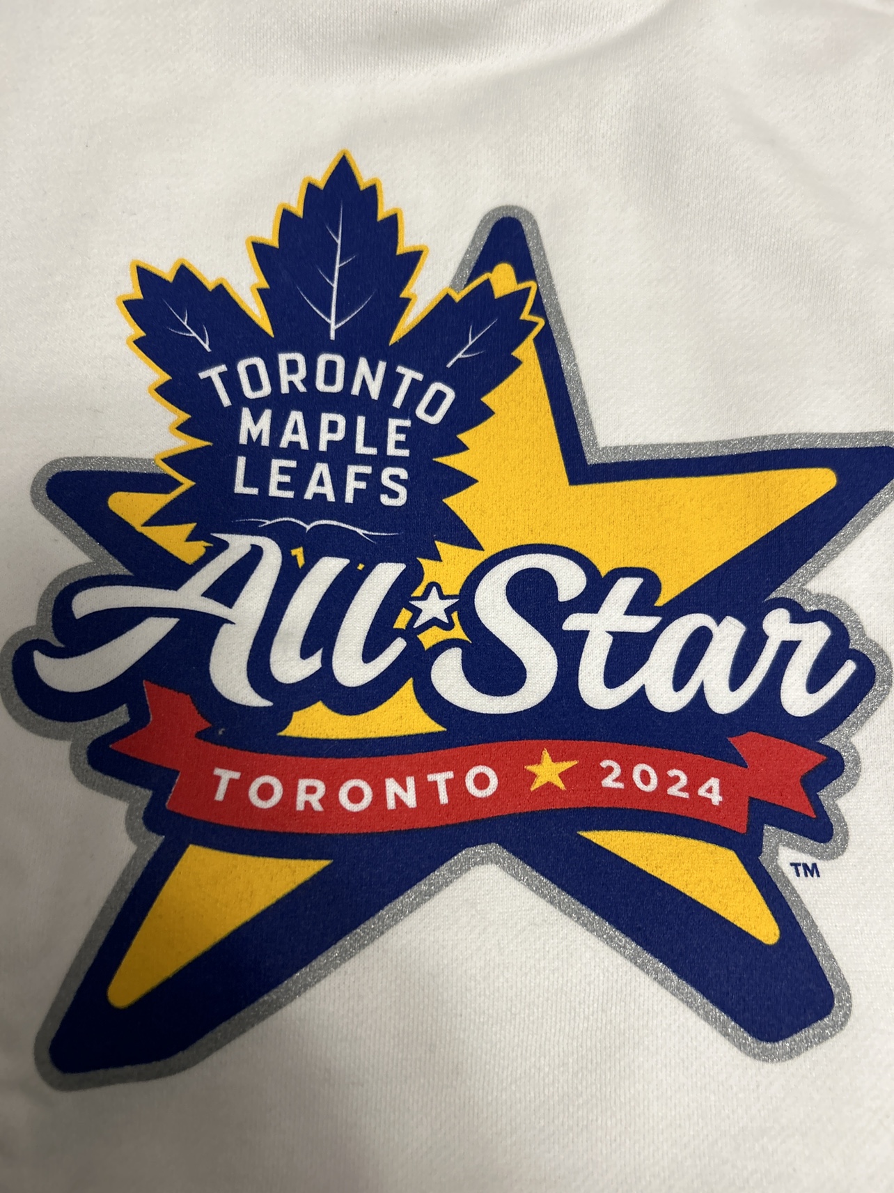 Mitchell & Ness Toronto Maple Leafs All-Star Hoodie image indicator(4)