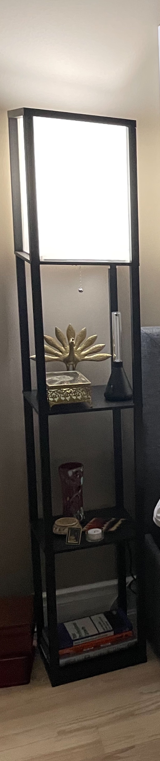 Floor Lamp with Shelf x2