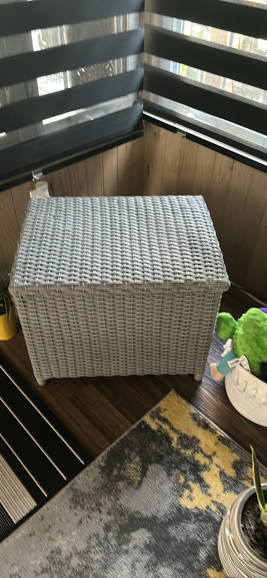 Insulated cooler
