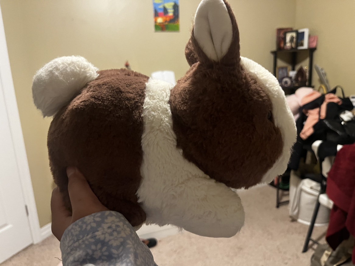 Soft toys #freecycle - photo 5