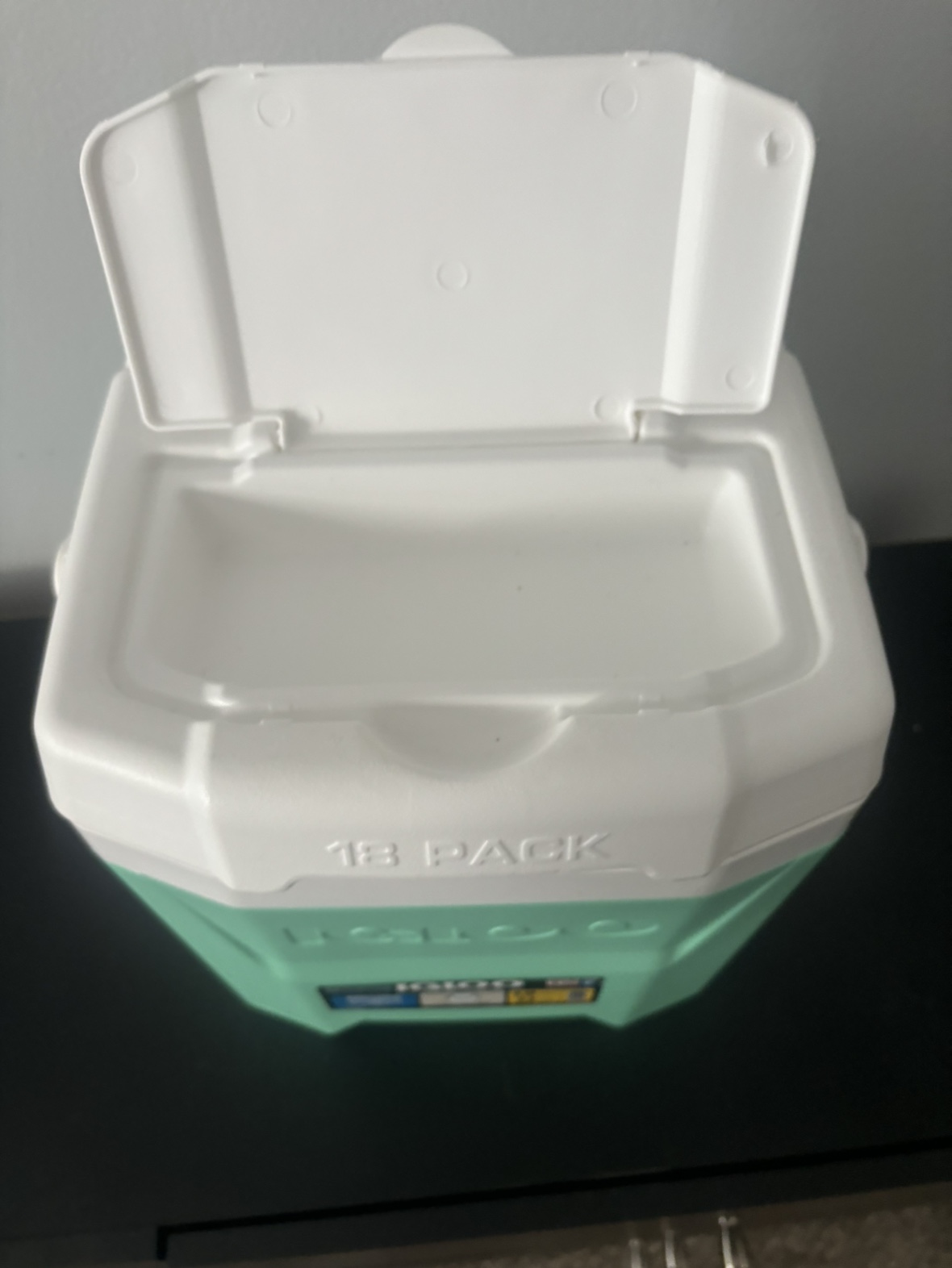 Igloo Quantum 12 Quart Cooler - photo 4