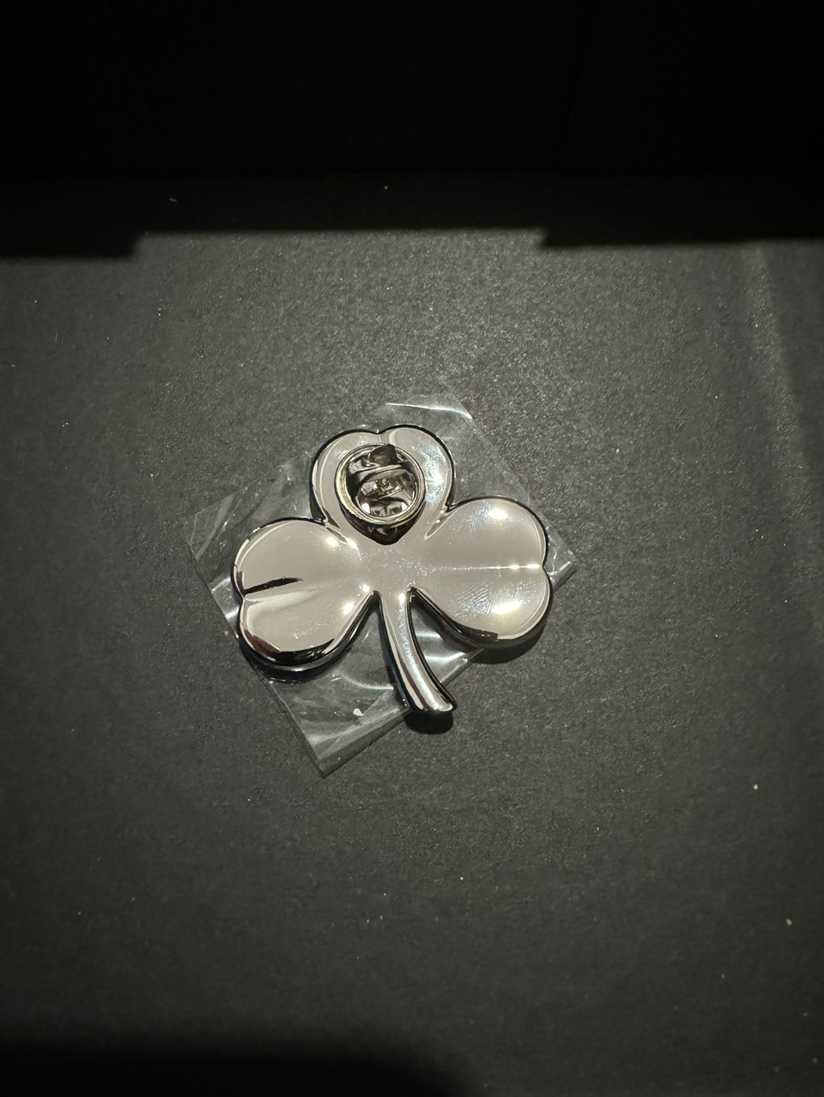 Brand New Chanel Beauty Brooch image indicator(2)