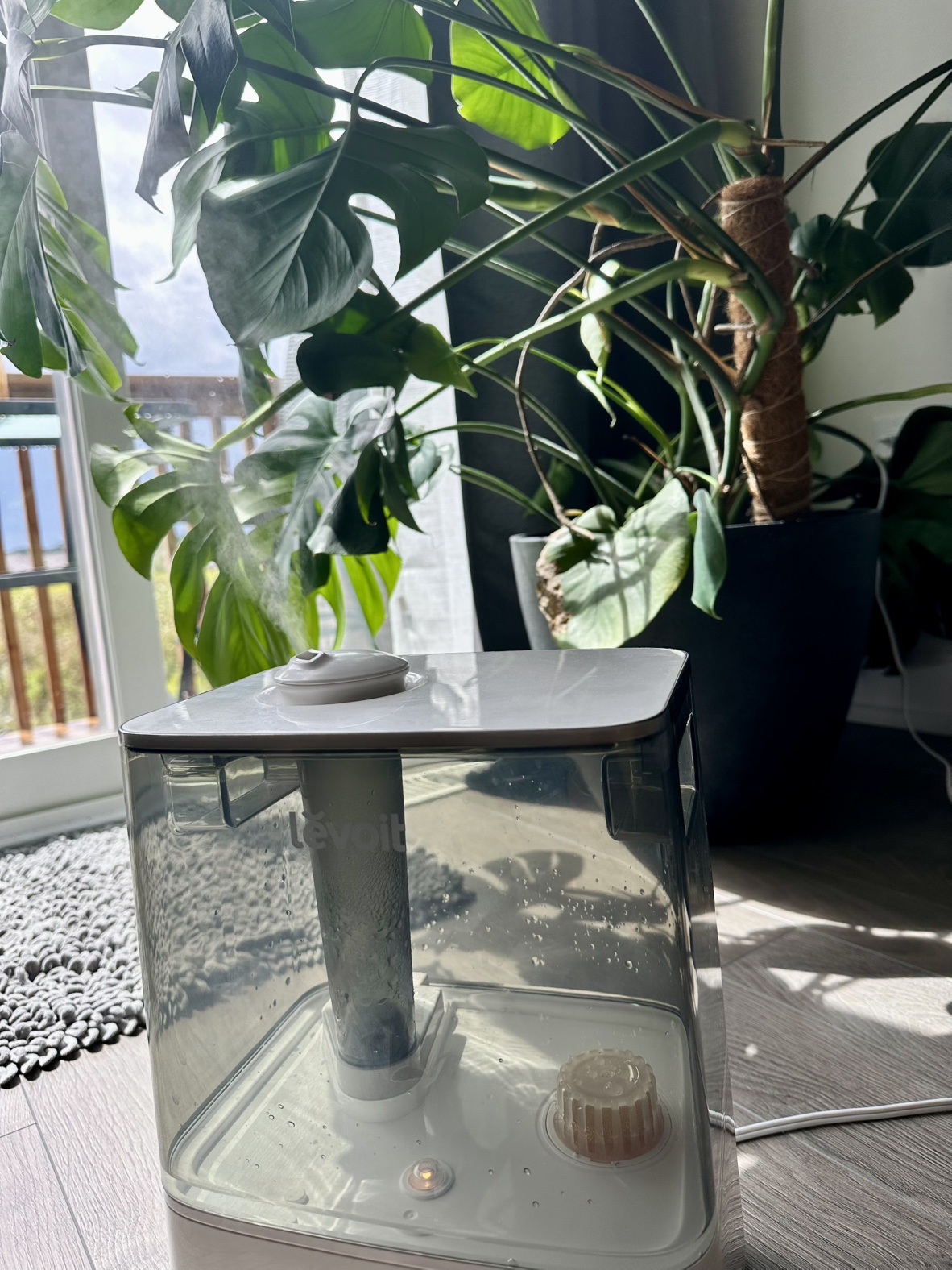 Levoit Humidifier