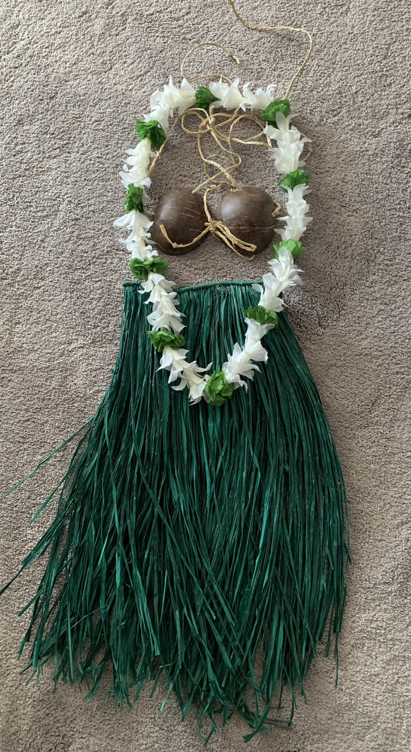 Child's Hawaiian Hula Girl Halloween Costume