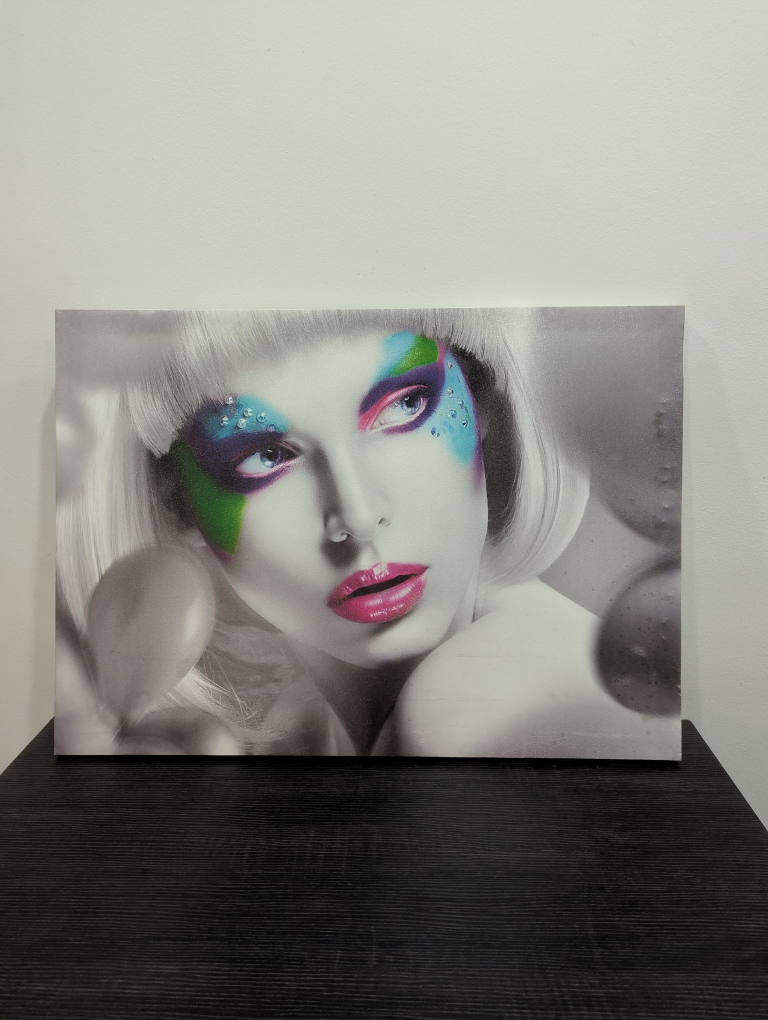 Framed Canvas Wall Art image indicator(2)