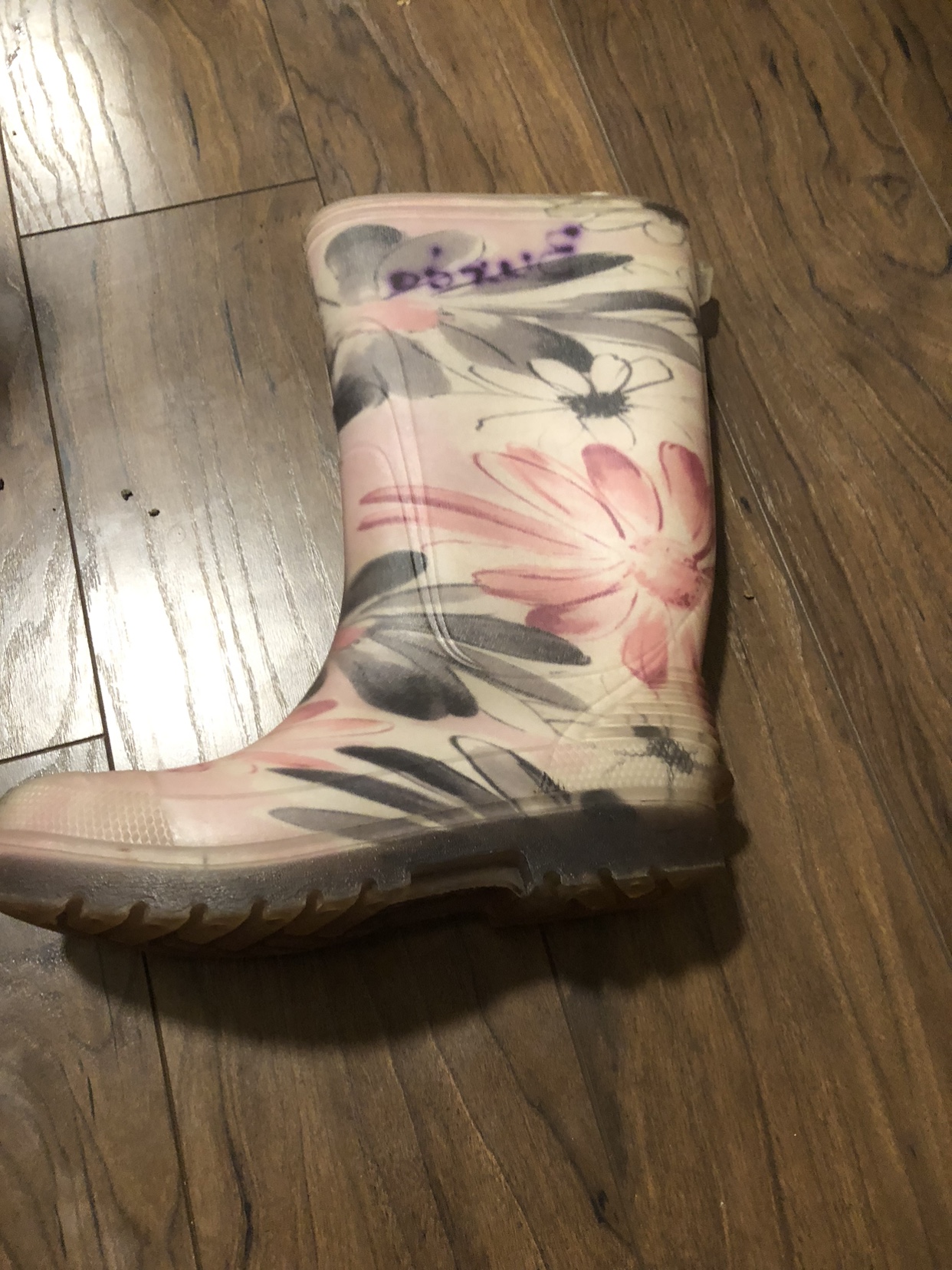 Rain boots image indicator(2)