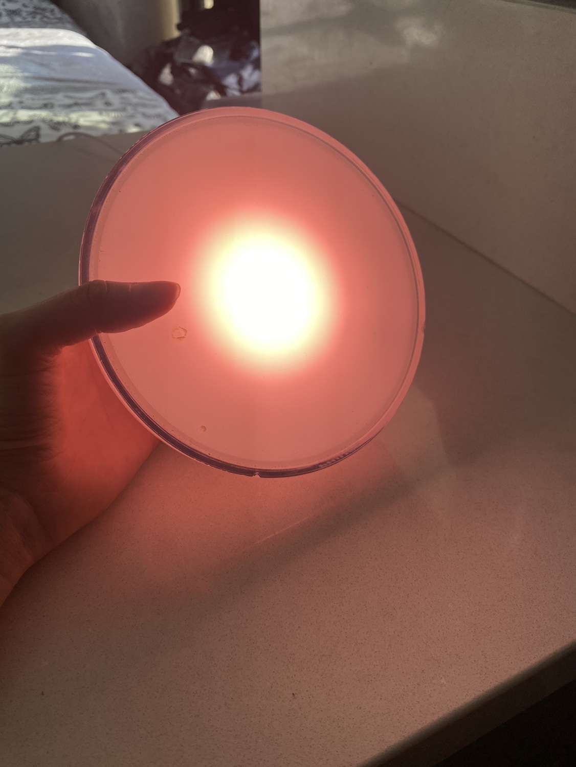 Philips HUE GO smart light Bluetooth LED - photo 4