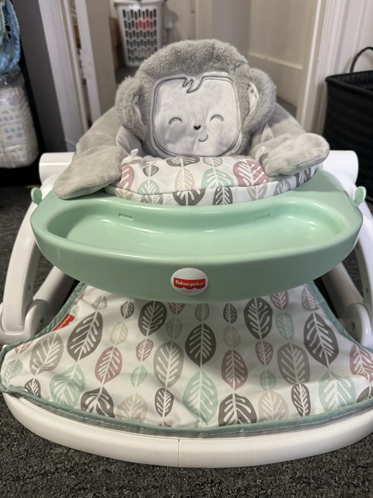 Fisher-Price Sit-Me-Up Seat thumbnail