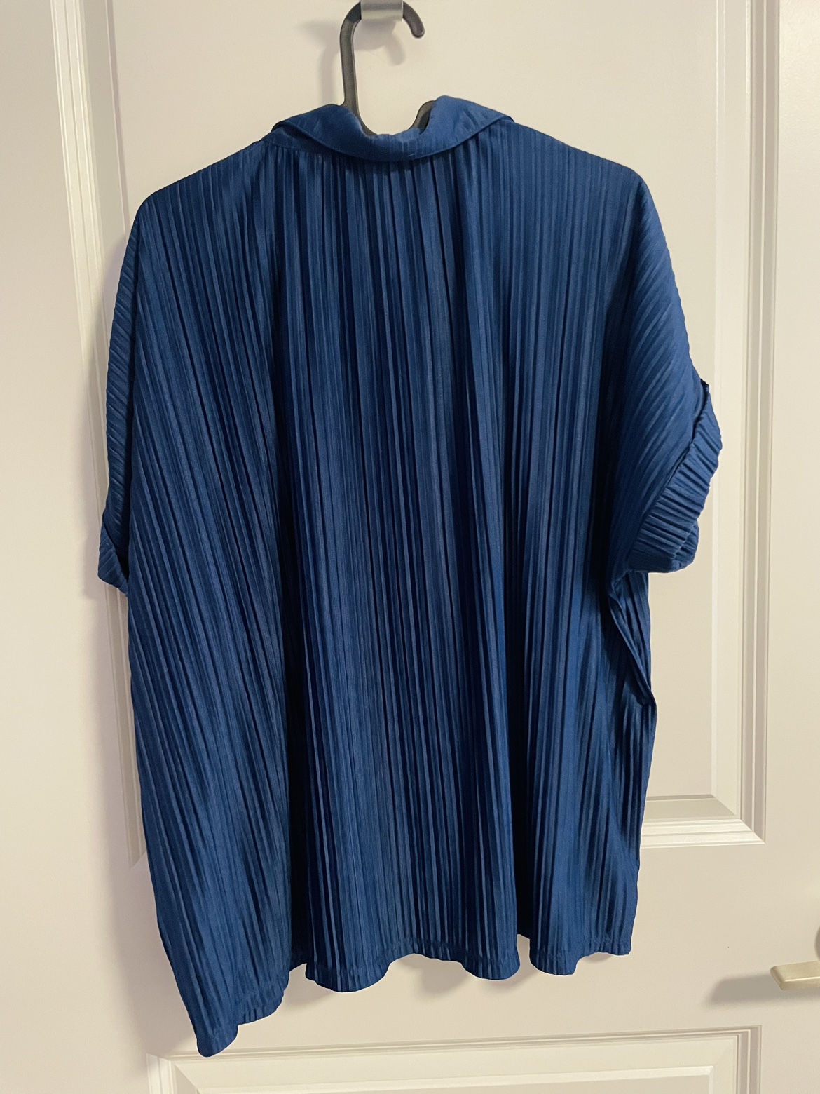 Elegant Blue Blouse image indicator(3)