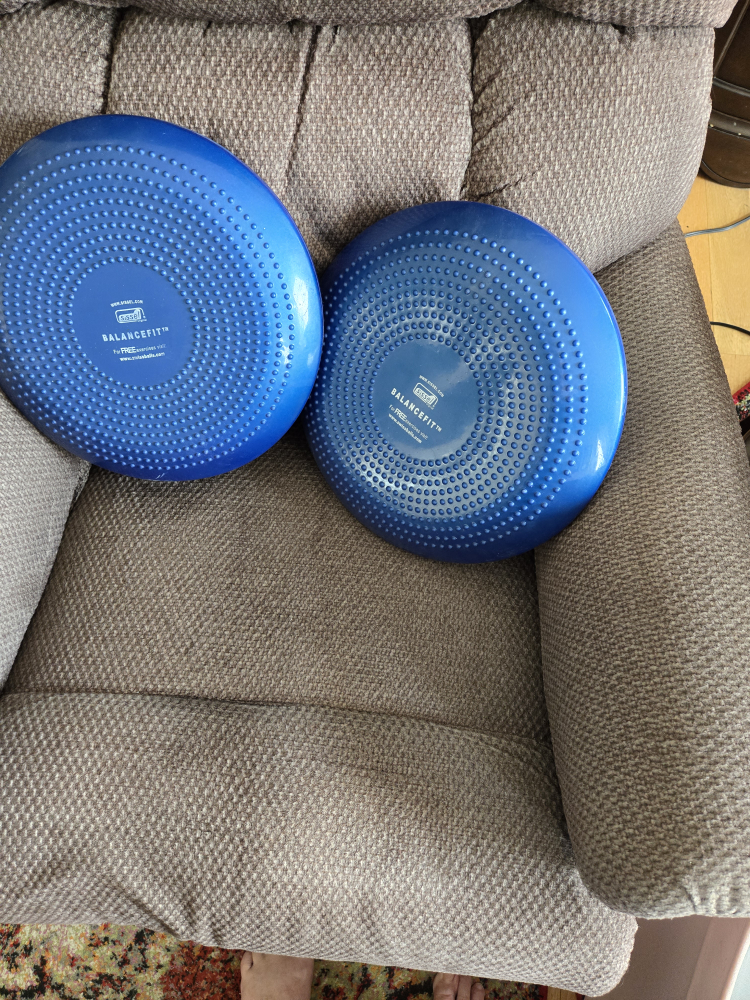 Balance Fit Exercise Discs