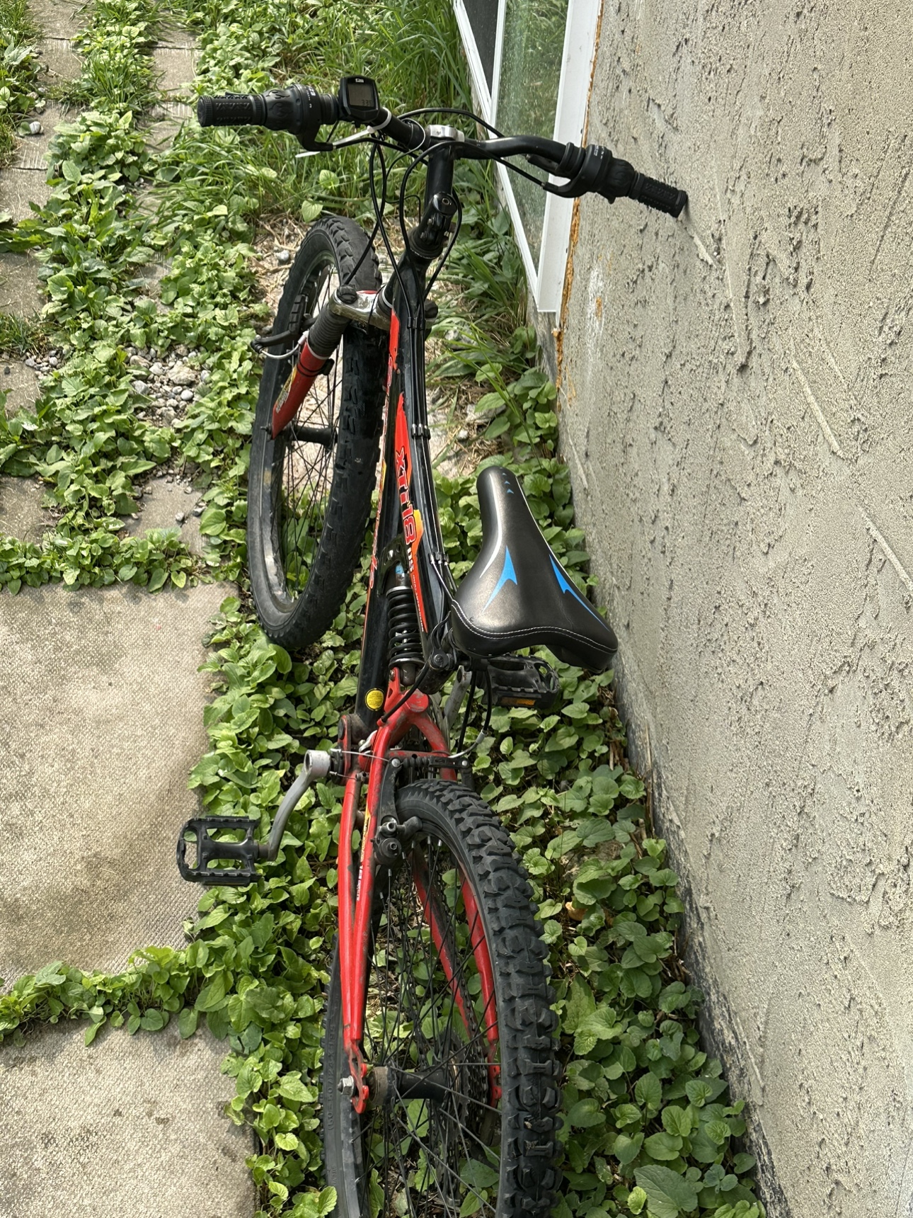 Bike for sale