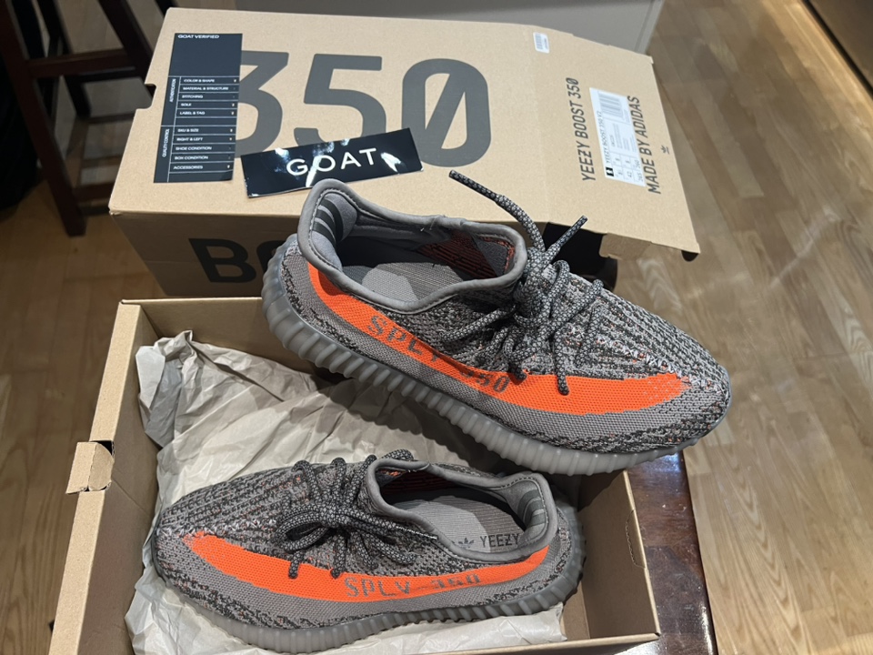 BN Adidas Yeezy Boost 350 V2 image indicator(5)