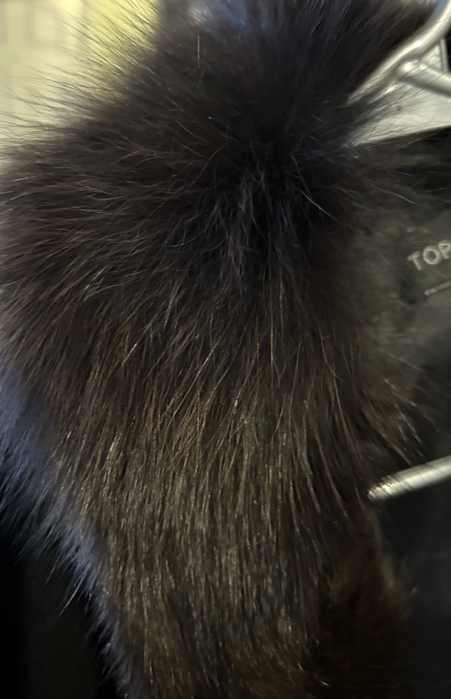Black Fur Collared Blazer - photo 2