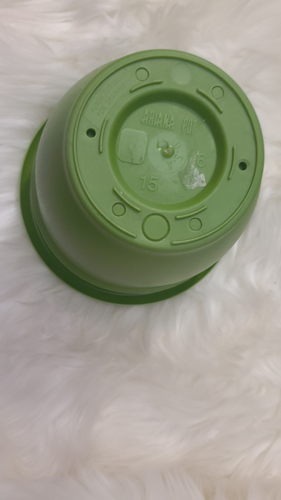 🪴 🌱 Green Plastic Flower Pot 🪴 🌱 image indicator(3)