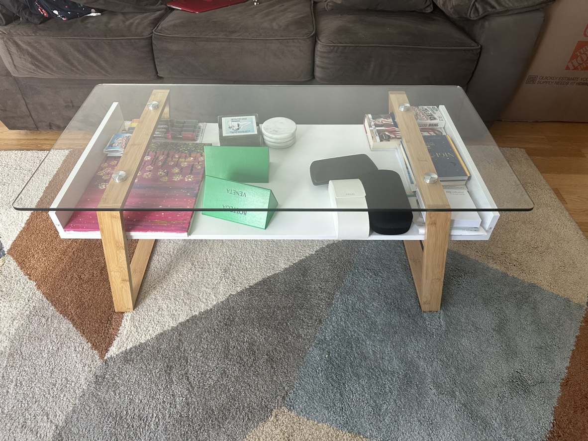 Glass Coffee Table with Storage Shelf - photo 2