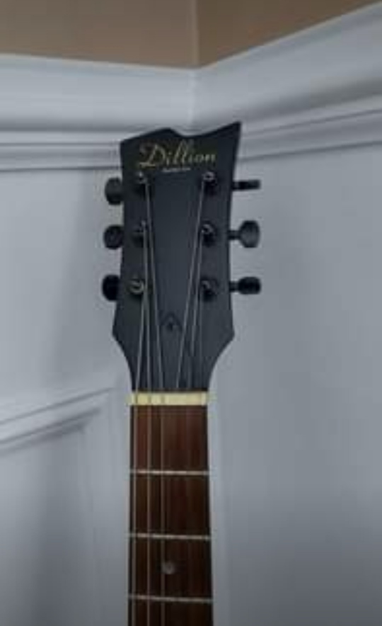 Guitar. DILLION DX DRAGON, DXC-D - photo 3