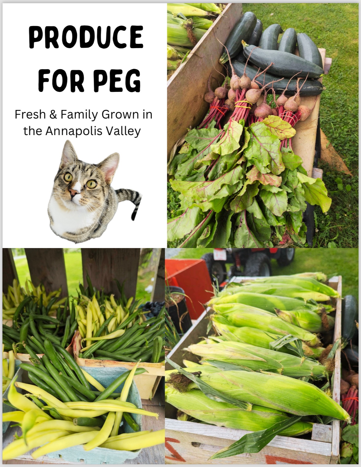 Freshly Picked Annapolis Valley Produce - photo 4