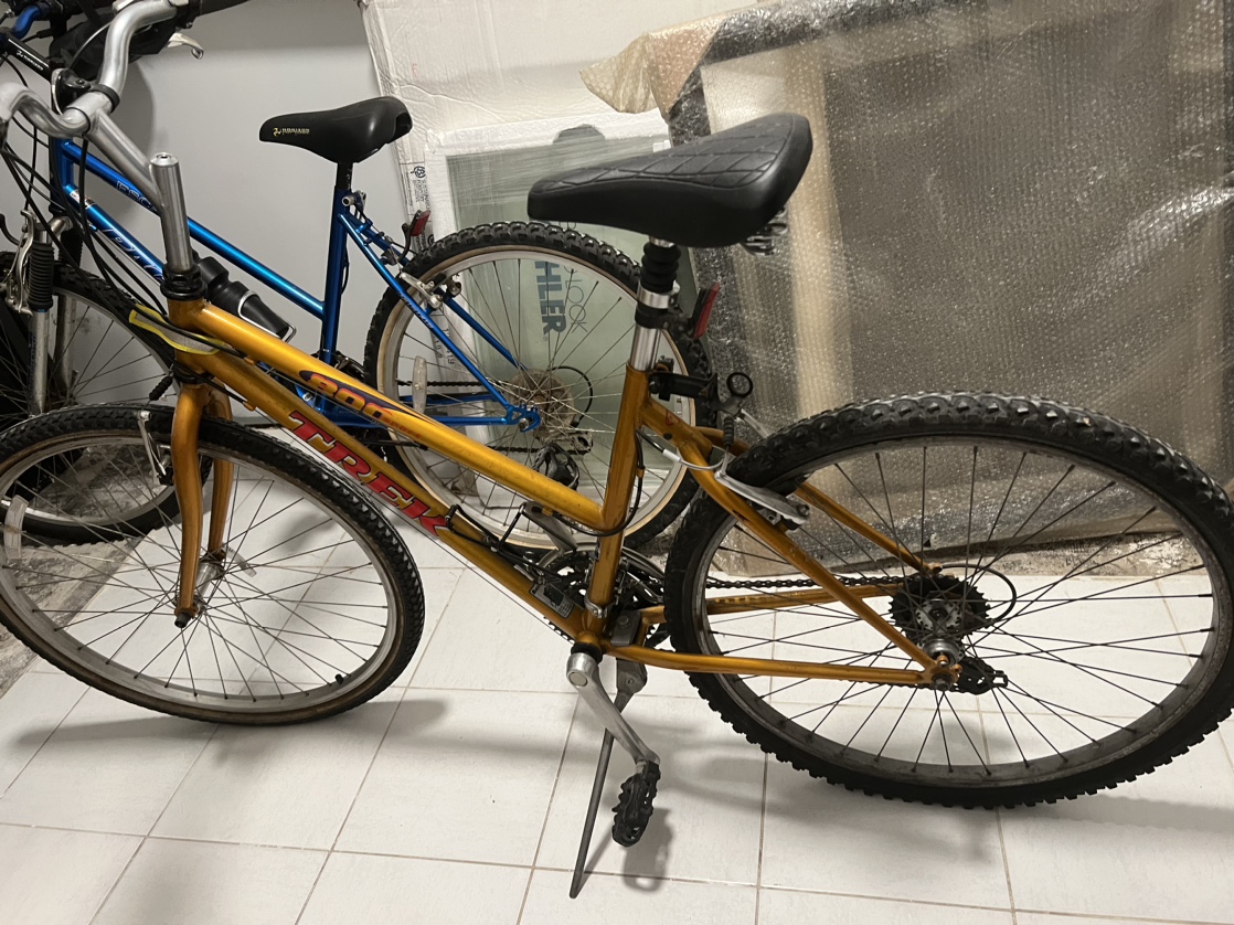 Trek 800 Mountain Bike