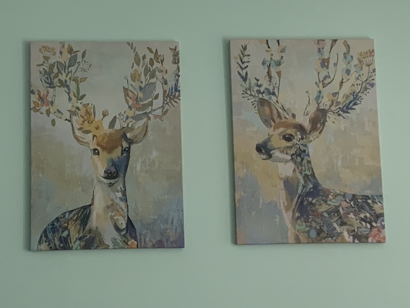 Floral Deer Set