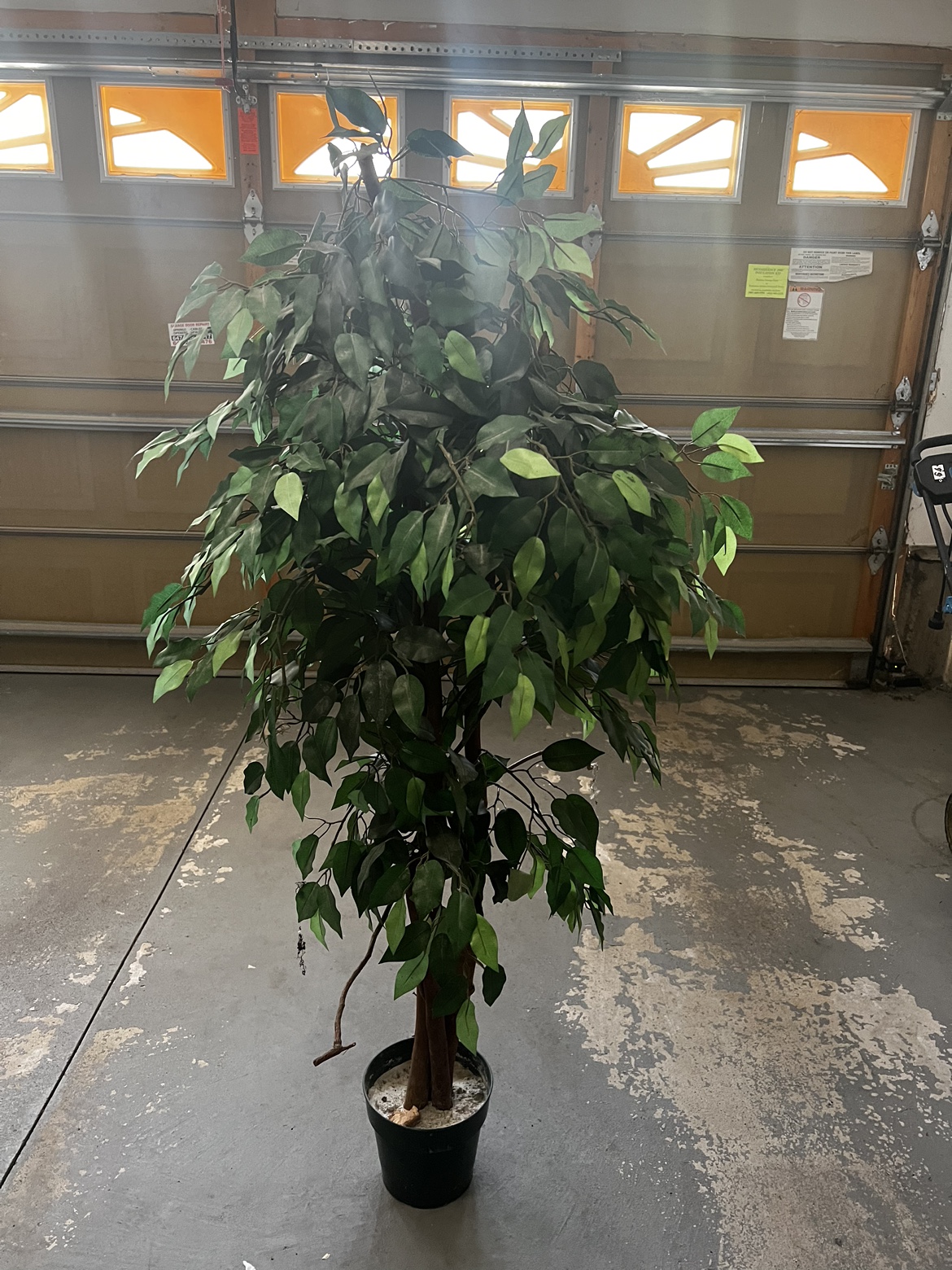 Artificial Ficus Tree - photo 2