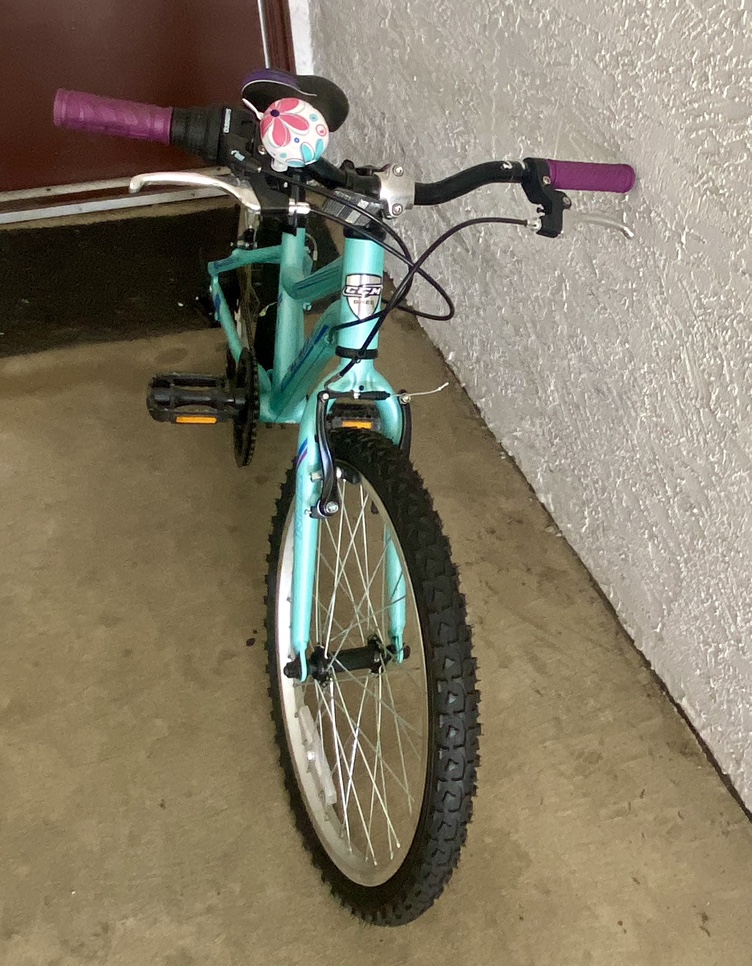 CCM Girls Bike 20” Wheels - photo 2