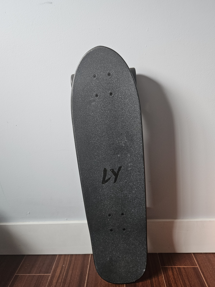 skateboard land yachtz - photo 2