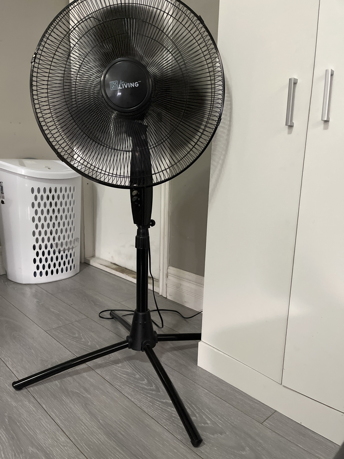 Fan