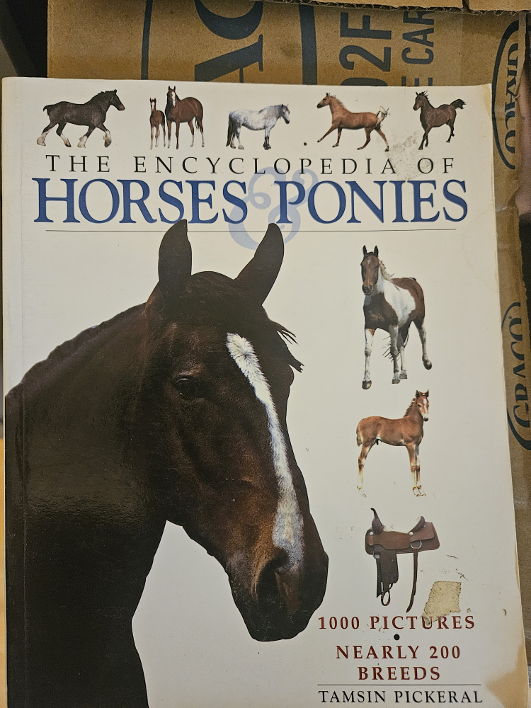 Horse Books - Set of 3 - photo 3