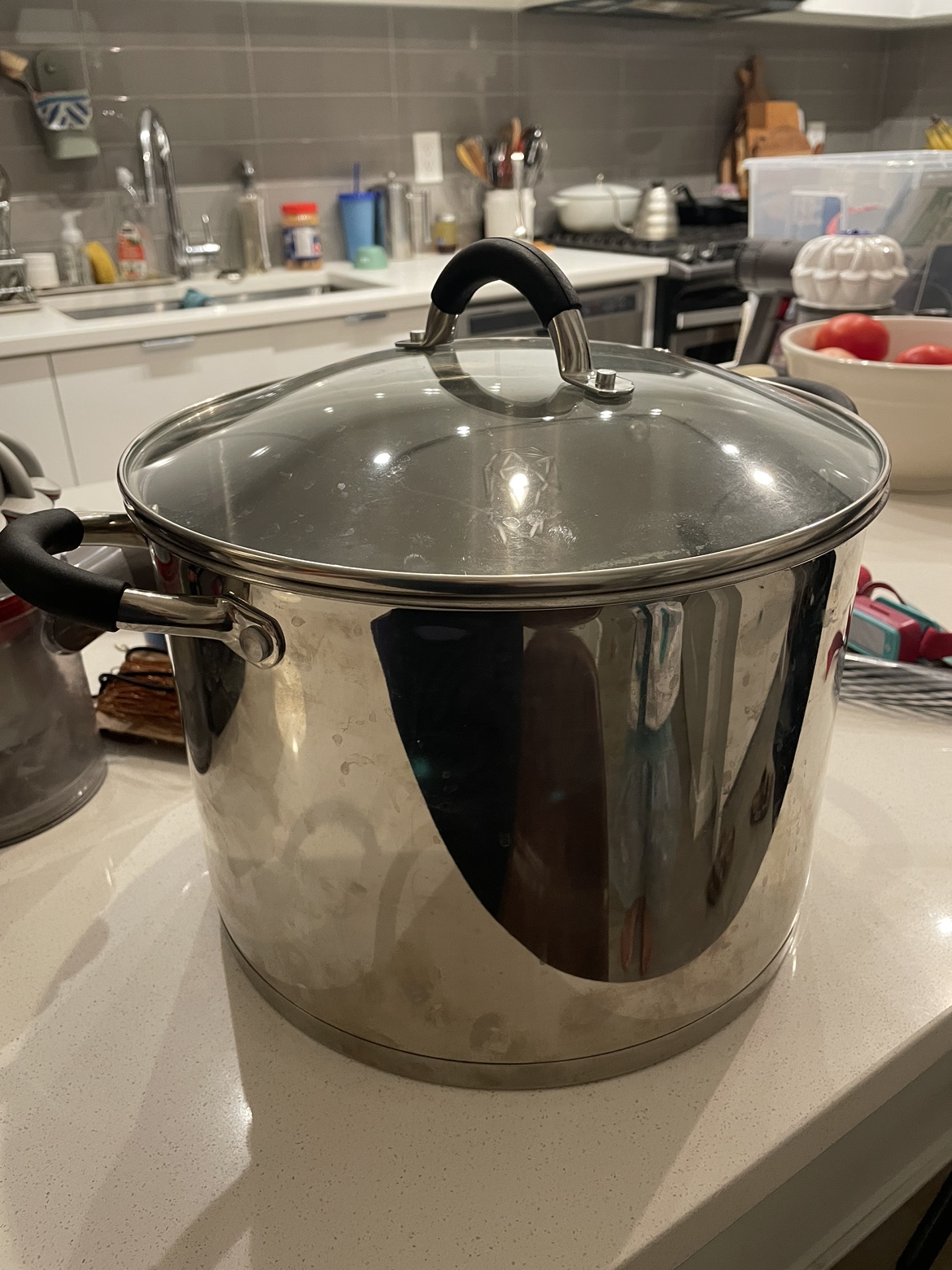 Stainless Steel Pot with Lid. 10 QT