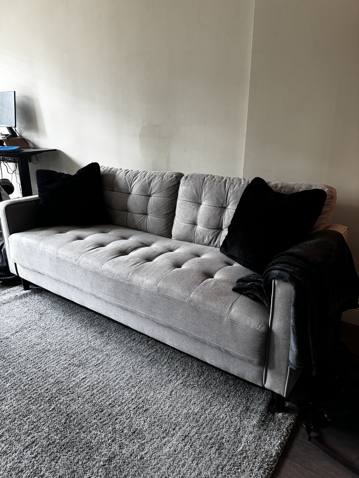 Apartment Couch MUST GO
