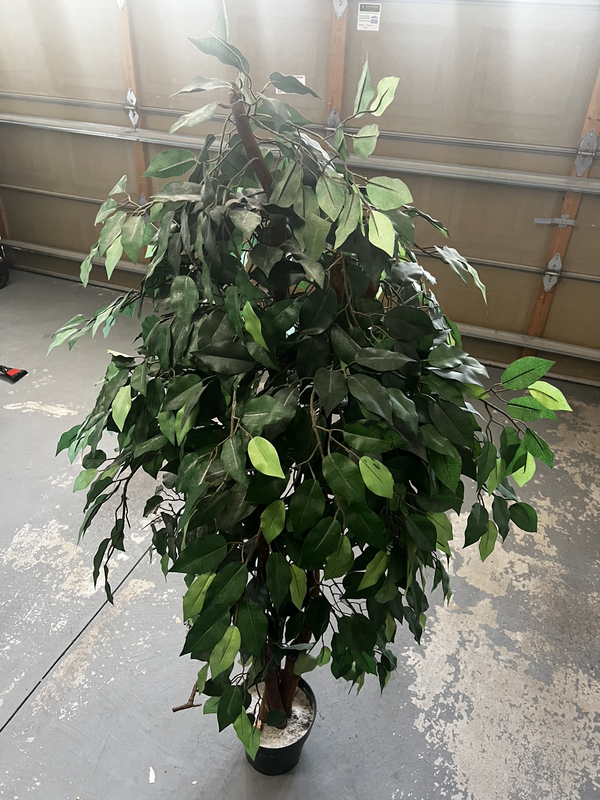 Artificial Ficus Tree